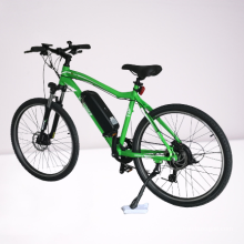 Bafang motor mtb electric bicycle mountain bike